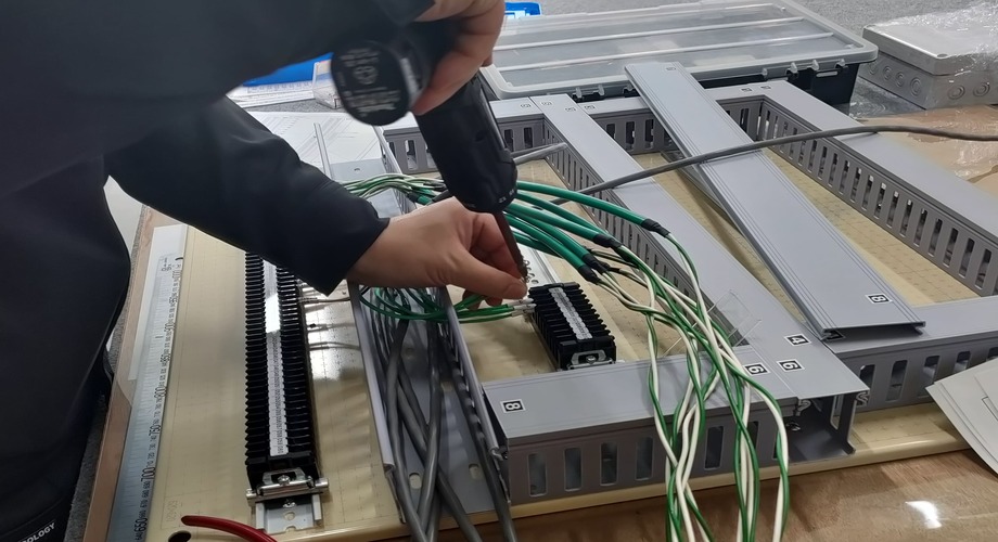 IMG20250131133859 (2)